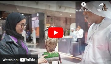 ADIHEX 9 Days Wrap Up Video Compilation