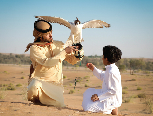 Theoretical lessons on all topics relating to falcons, quarry and sustainable falconry.