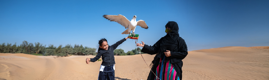 Practical sessions in falconry and desert skills