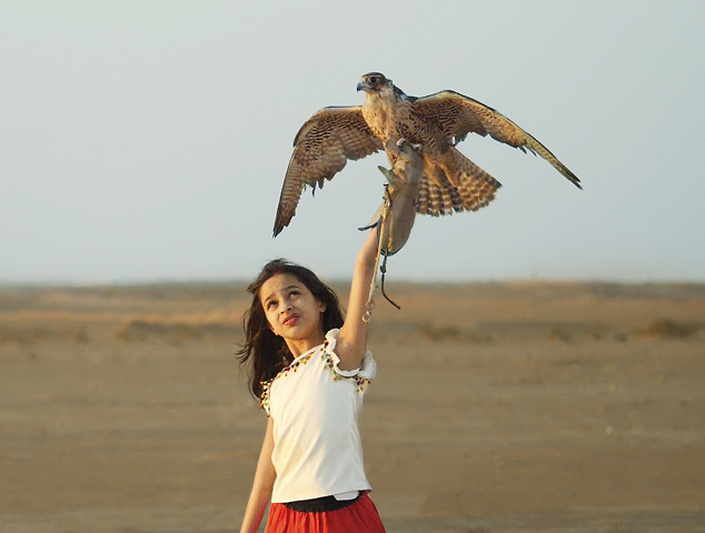Practical falconry and desert physiognomy sessions.