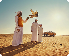 Practical sessions in falconry and desert skills